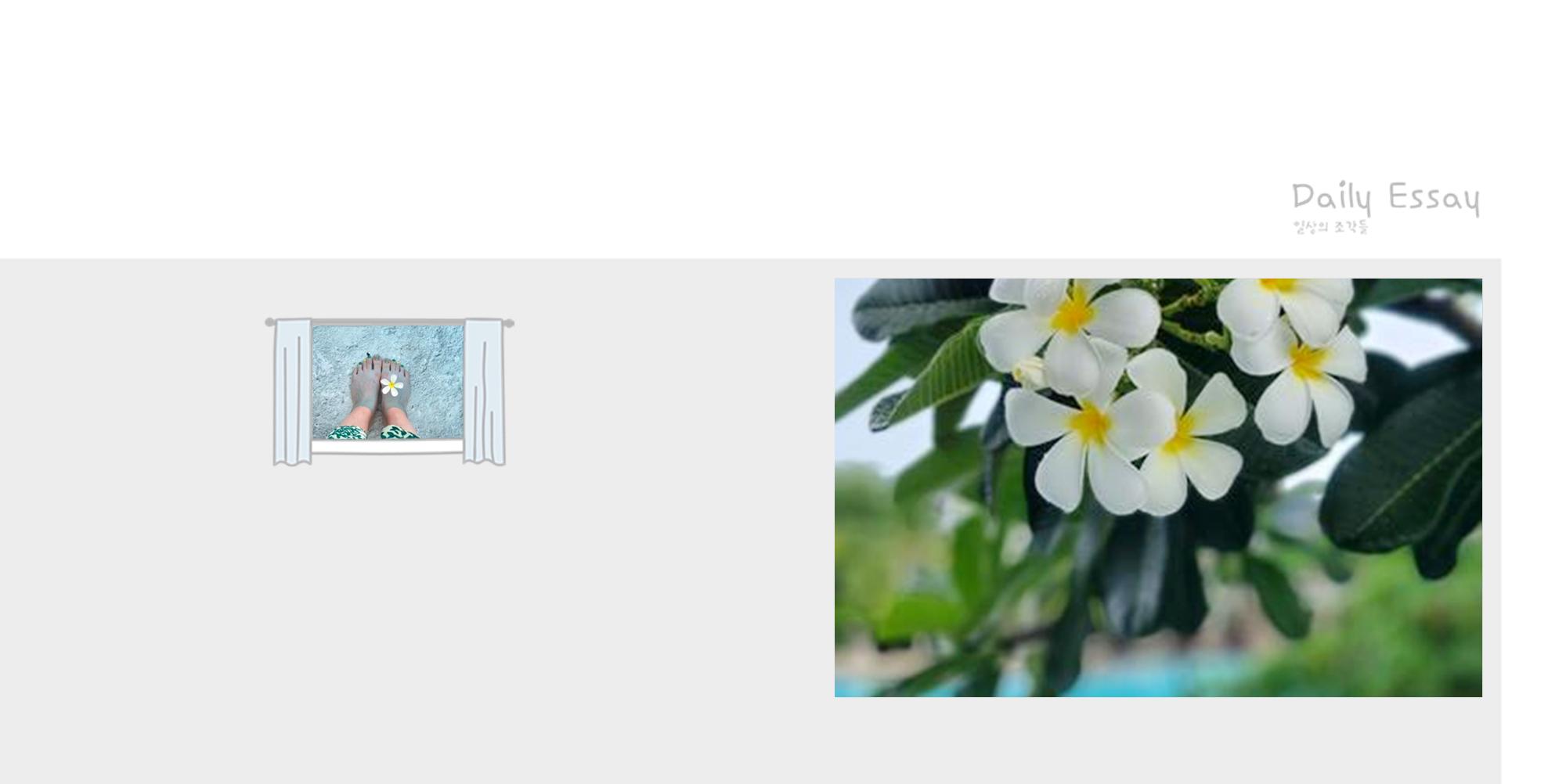 [8x8]포토북 소프트